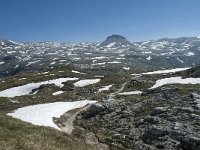 I, Sued-Tirol, Corvara, Naturpark Puez-Geisler 107, Saxifraga-Annemiek Bouwman