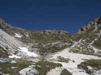I, Sued-Tirol, Corvara, Naturpark Puez-Geisler 11, Saxifraga-Willem van Kruijsbergen