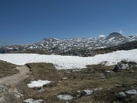 I, Sued-Tirol, Corvara, Naturpark Puez-Geisler 110, Saxifraga-Annemiek Bouwman