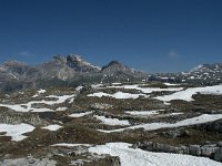 I, Sued-Tirol, Corvara, Naturpark Puez-Geisler 114, Saxifraga-Annemiek Bouwman