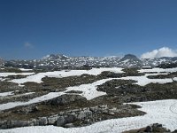 I, Sued-Tirol, Corvara, Naturpark Puez-Geisler 115, Saxifraga-Annemiek Bouwman