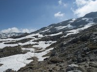 I, Sued-Tirol, Corvara, Naturpark Puez-Geisler 116, Saxifraga-Annemiek Bouwman