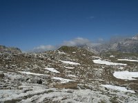 I, Sued-Tirol, Corvara, Naturpark Puez-Geisler 120, Saxifraga-Annemiek Bouwman