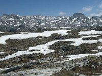 I, Sued-Tirol, Corvara, Naturpark Puez-Geisler 122, Saxifraga-Annemiek Bouwman