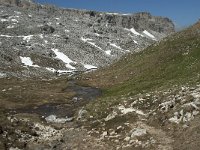 I, Sued-Tirol, Corvara, Naturpark Puez-Geisler 125, Saxifraga-Annemiek Bouwman