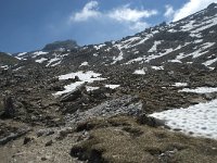 I, Sued-Tirol, Corvara, Naturpark Puez-Geisler 127, Saxifraga-Annemiek Bouwman