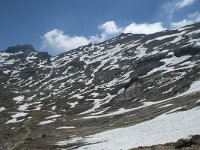 I, Sued-Tirol, Corvara, Naturpark Puez-Geisler 128, Saxifraga-Annemiek Bouwman
