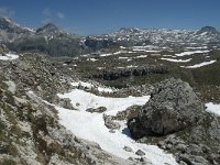 I, Sued-Tirol, Corvara, Naturpark Puez-Geisler 129, Saxifraga-Annemiek Bouwman