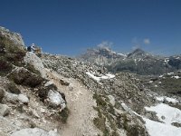 I, Sued-Tirol, Corvara, Naturpark Puez-Geisler 130, Saxifraga-Annemiek Bouwman