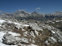 I, Sued-Tirol, Corvara, Naturpark Puez-Geisler 132, Saxifraga-Annemiek Bouwman