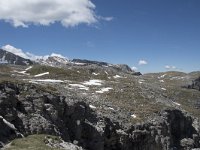I, Sued-Tirol, Corvara, Naturpark Puez-Geisler 24, Saxifraga-Willem van Kruijsbergen