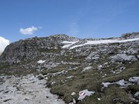 I, Sued-Tirol, Corvara, Naturpark Puez-Geisler 29, Saxifraga-Willem van Kruijsbergen
