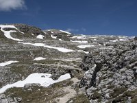I, Sued-Tirol, Corvara, Naturpark Puez-Geisler 30, Saxifraga-Willem van Kruijsbergen