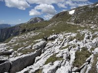 I, Sued-Tirol, Corvara, Naturpark Puez-Geisler 35, Saxifraga-Willem van Kruijsbergen