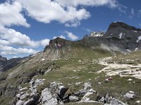 I, Sued-Tirol, Corvara, Naturpark Puez-Geisler 39, Saxifraga-Willem van Kruijsbergen