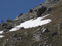 I, Sued-Tirol, Corvara, Naturpark Puez-Geisler 4, Saxifraga-Willem van Kruijsbergen