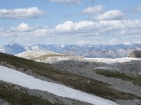 I, Sued-Tirol, Corvara, Naturpark Puez-Geisler 50, Saxifraga-Willem van Kruijsbergen