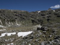 I, Sued-Tirol, Corvara, Naturpark Puez-Geisler 6, Saxifraga-Willem van Kruijsbergen