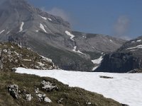 I, Sued-Tirol, Corvara, Naturpark Puez-Geisler 68, Saxifraga-Willem van Kruijsbergen