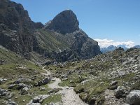 I, Sued-Tirol, Corvara, Naturpark Puez-Geisler 79, Saxifraga-Annemiek Bouwman