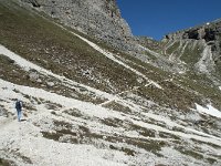 I, Sued-Tirol, Corvara, Naturpark Puez-Geisler 80, Saxifraga-Annemiek Bouwman