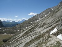 I, Sued-Tirol, Corvara, Naturpark Puez-Geisler 82, Saxifraga-Annemiek Bouwman