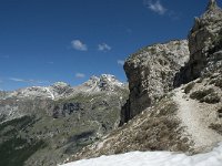 I, Sued-Tirol, Corvara, Naturpark Puez-Geisler 86, Saxifraga-Annemiek Bouwman