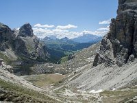 I, Sued-Tirol, Corvara, Naturpark Puez-Geisler 87, Saxifraga-Annemiek Bouwman