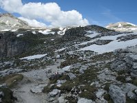 I, Sued-Tirol, Corvara, Naturpark Puez-Geisler 89, Saxifraga-Annemiek Bouwman