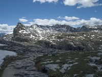 I, Sued-Tirol, Corvara, Naturpark Puez-Geisler 90, Saxifraga-Annemiek Bouwman