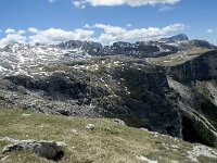 I, Sued-Tirol, Corvara, Naturpark Puez-Geisler 91, Saxifraga-Annemiek Bouwman