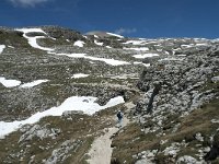 I, Sued-Tirol, Corvara, Naturpark Puez-Geisler 92, Saxifraga-Annemiek Bouwman