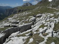I, Sued-Tirol, Corvara, Naturpark Puez-Geisler 94, Saxifraga-Annemiek Bouwman