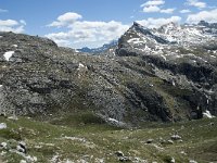 I, Sued-Tirol, Corvara, Naturpark Puez-Geisler 95, Saxifraga-Annemiek Bouwman