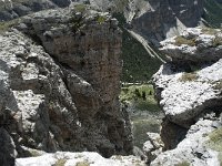 I, Sued-Tirol, Corvara, Naturpark Puez-Geisler 98, Saxifraga-Annemiek Bouwman
