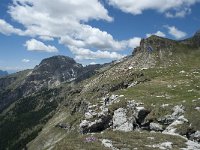 I, Sued-Tirol, Corvara, Naturpark Puez-Geisler 99, Saxifraga-Annemiek Bouwman