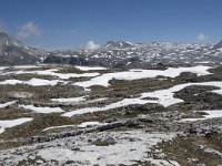 I, Sued-Tirol, Corvara, Naturpark Puez-Geisler, Altipiano de Crespeina 11, Saxifraga-Willem van Kruijsbergen