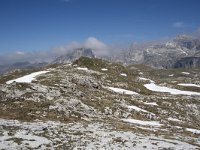 I, Sued-Tirol, Corvara, Naturpark Puez-Geisler, Altipiano de Crespeina 12, Saxifraga-Willem van Kruijsbergen