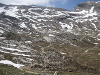 I, Sued-Tirol, Corvara, Naturpark Puez-Geisler, Altipiano de Crespeina 15, Saxifraga-Willem van Kruijsbergen