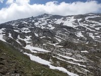I, Sued-Tirol, Corvara, Naturpark Puez-Geisler, Altipiano de Crespeina 16, Saxifraga-Willem van Kruijsbergen