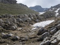 I, Sued-Tirol, Corvara, Naturpark Puez-Geisler, Altipiano de Crespeina 17, Saxifraga-Willem van Kruijsbergen