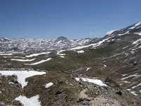 I, Sued-Tirol, Corvara, Naturpark Puez-Geisler, Altipiano de Crespeina 19, Saxifraga-Willem van Kruijsbergen