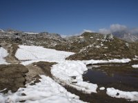 I, Sued-Tirol, Corvara, Naturpark Puez-Geisler, Altipiano de Crespeina 2, Saxifraga-Willem van Kruijsbergen