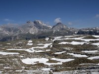 I, Sued-Tirol, Corvara, Naturpark Puez-Geisler, Altipiano de Crespeina 8, Saxifraga-Willem van Kruijsbergen
