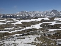 I, Sued-Tirol, Corvara, Naturpark Puez-Geisler, Altipiano de Crespeina 9, Saxifraga-Willem van Kruijsbergen