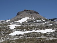 I, Sued-Tirol, Corvara, Naturpark Puez-Geisler, Col Dala Sone 2, Saxifraga-Willem van Kruijsbergen