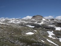 I, Sued-Tirol, Corvara, Naturpark Puez-Geisler, Col Dala Sone 4, Saxifraga-Willem van Kruijsbergen