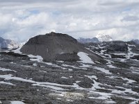 I, Sued-Tirol, Corvara, Naturpark Puez-Geisler, Col Dala Sone 6, Saxifraga-Willem van Kruijsbergen
