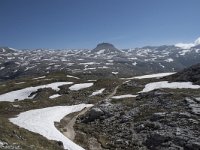 I, Sued-Tirol, Corvara, Naturpark Puez-Geisler, Col Dala Sone 7, Saxifraga-Willem van Kruijsbergen