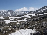 I, Sued-Tirol, Corvara, Naturpark Puez-Geisler, Col Dala Sone 8, Saxifraga-Willem van Kruijsbergen
